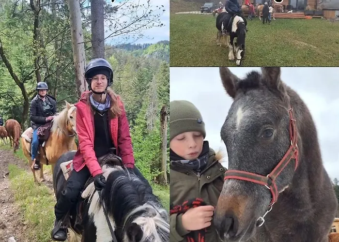 別荘 Na Samote V Raji